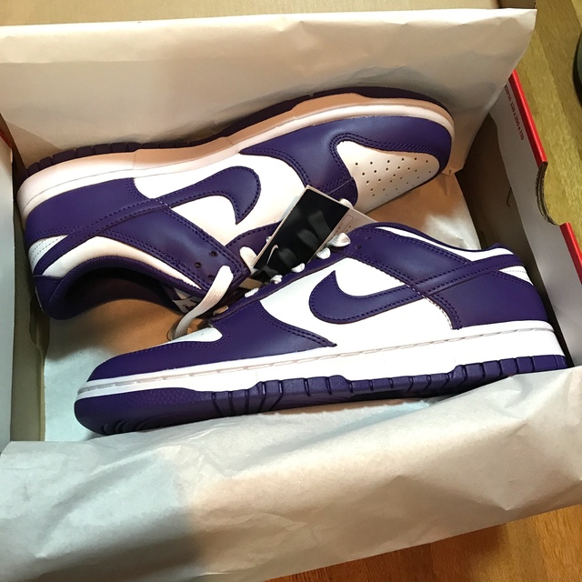 Nike Dunk Low Championship court purple 1