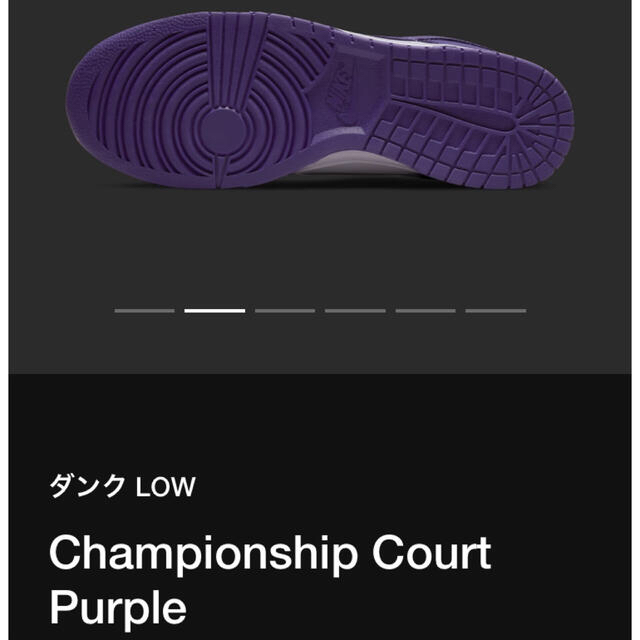 Nike Dunk Low Championship court purple 4