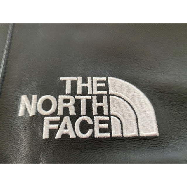 Supreme(シュプリーム)のSupreme The North Face Leather Mountain  メンズのジャケット/アウター(マウンテンパーカー)の商品写真