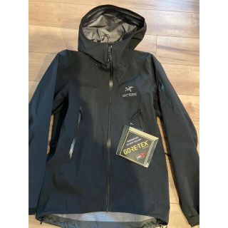 アークテリクス(ARC'TERYX)のアークテリクス　ベータsv マウンテンパーカ　美品(マウンテンパーカー)