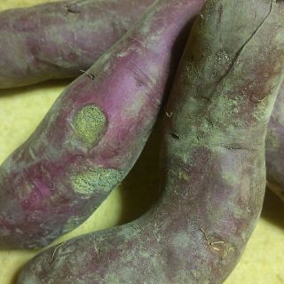 ♦パープルスイートロード５Kg農薬，化学肥料不使用さつまいも🍠(野菜)