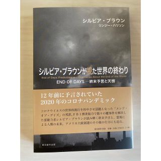 シルビアブラウンが視た世界の終わり(ビジネス/経済)