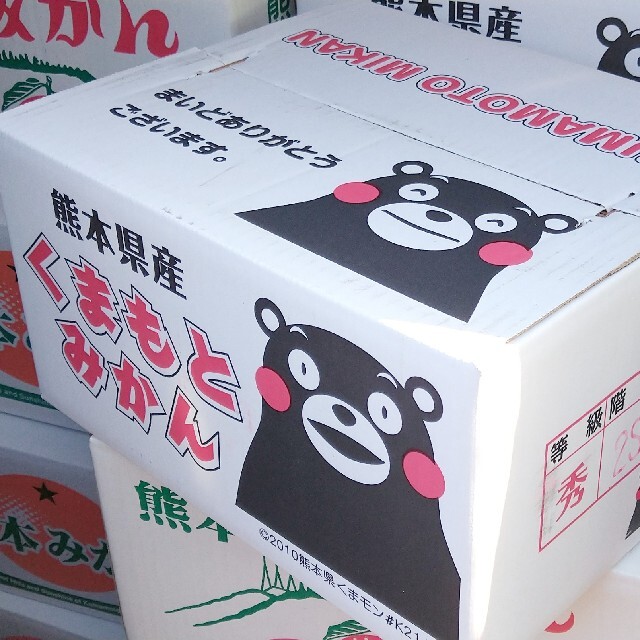 小玉2Sサイズ10kg【送料こみ】熊本産早生温州みかん10kg 食品/飲料/酒の食品(フルーツ)の商品写真