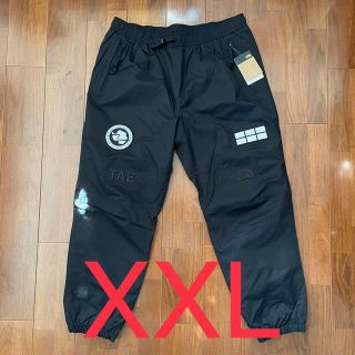 ザノースフェイス(THE NORTH FACE)のTrans antarctica expedition pants(その他)