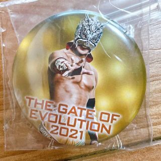 Dragongate バッジ　ドラゴンキッド(格闘技/プロレス)