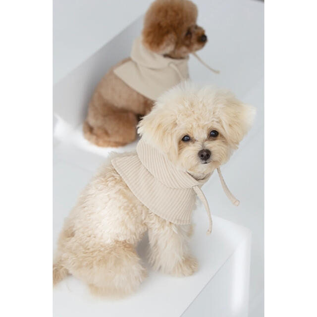 韓国犬服❤︎pochepoche ケープ その他のペット用品(犬)の商品写真