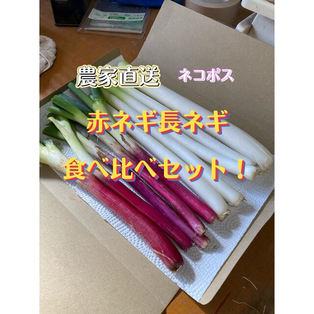 超貴重！赤ネギ長ネギ食べ比べセット！ ネコポス 食品/飲料/酒の食品(野菜)の商品写真