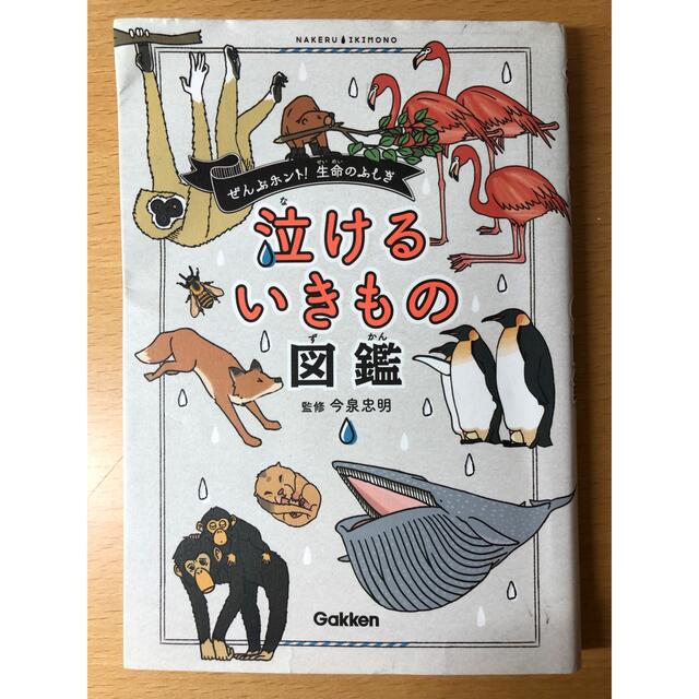 学研(ガッケン)の泣けるいきもの図鑑 ぜんぶホント！生命のふしぎ エンタメ/ホビーの本(絵本/児童書)の商品写真