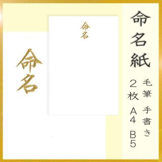 命名紙 2枚 毛筆 手書き♡命名の金色字入♡ 命名用紙♡命名書♡書家(命名紙)