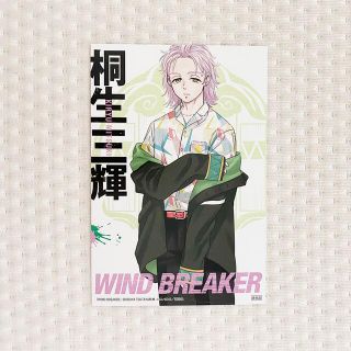 WIND BREAKER ウィンブレ ナンジャ 桐生三輝 セット