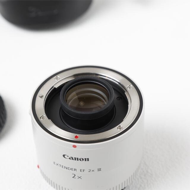 送料無料(沖縄は1000円) Canon エクステンダー 2x 3型 美品 - 通販