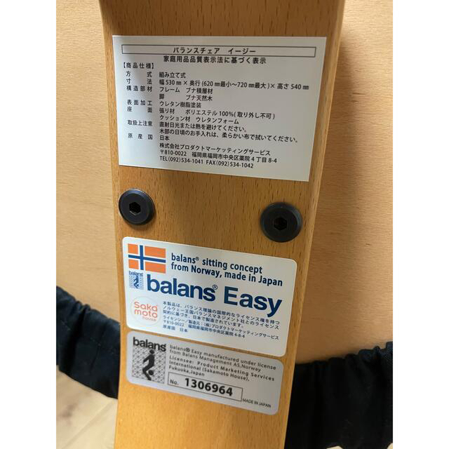 バランスチェア イージー サカモトハウス 美品 | www.sacidkordas.com