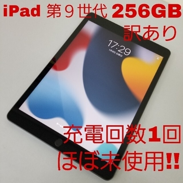 ほぼ新品‼️ iPad 第９世代 256GB Wi-Fi+セルラー SIMフリー