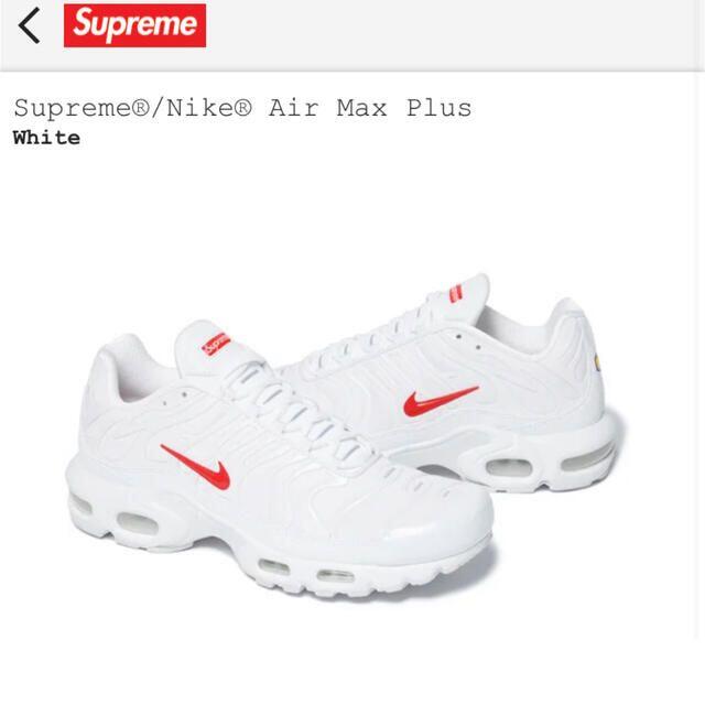 29㎝　Supreme Nike Air Max Plus