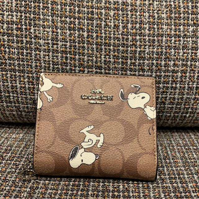 COACH  折財布　コーチxピーナッツ限定コラボ　 スヌーピー　 白