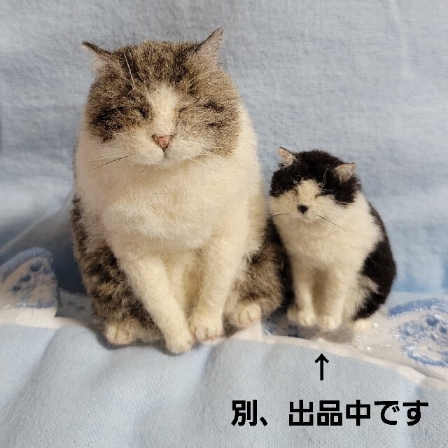 羊毛フェルト ② MEBARU 作家様 リアル猫 お座りネコ - ぬいぐるみ/人形