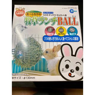 牧草ランチ　BALL minimalLAND(小動物)