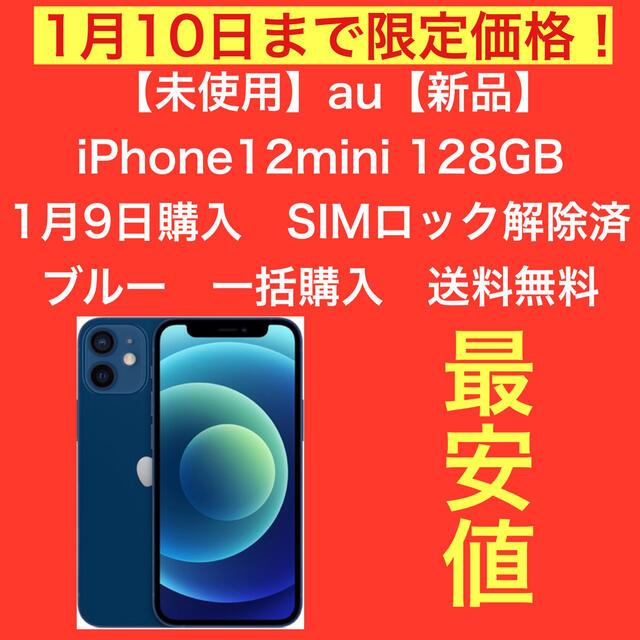 iPhone12mini 128GB ブルー　新品　SIMフリー　一括購入　最安