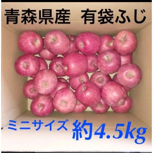 産地直送　有袋ふじ　青森県産　りんご　訳あり 食品/飲料/酒の食品(フルーツ)の商品写真