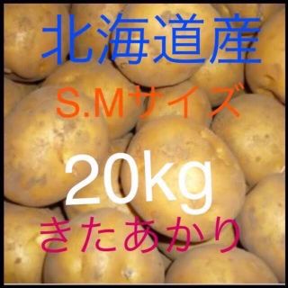 北海道産キタアカリ 20kg(野菜)
