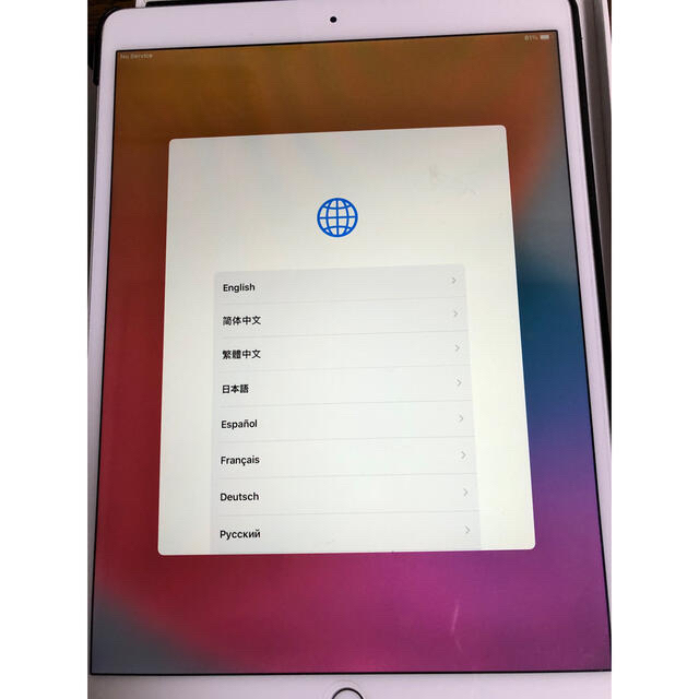 iPad  pro 10.5インチ　Wi-Fi+Cellular モデル 1