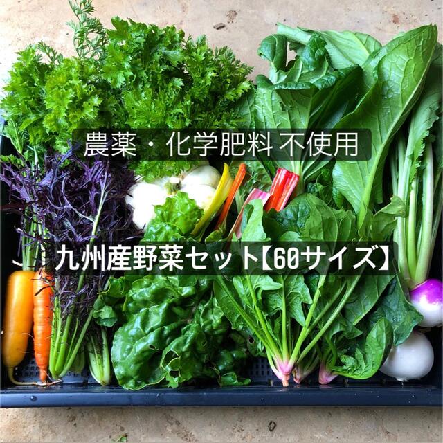 九州産　無農薬野菜セット　60サイズ 食品/飲料/酒の食品(野菜)の商品写真