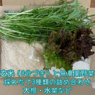 成人の日SP価格✨玄米（8分づき）と無農薬野菜＊採れたて3種類の詰め合わせ＊(野菜)