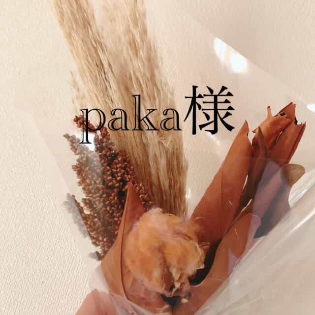 paka様(第2便) ハンドメイドのキッズ/ベビー(外出用品)の商品写真