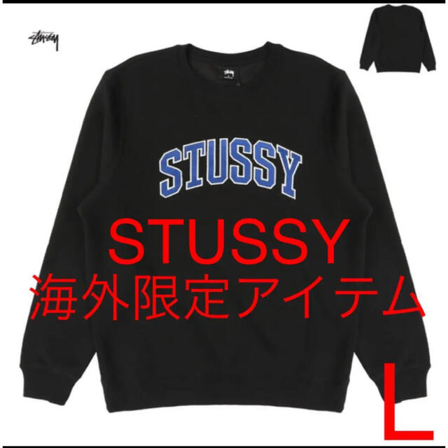 STUSSY Burly Arch App. CrewサイズLトップス