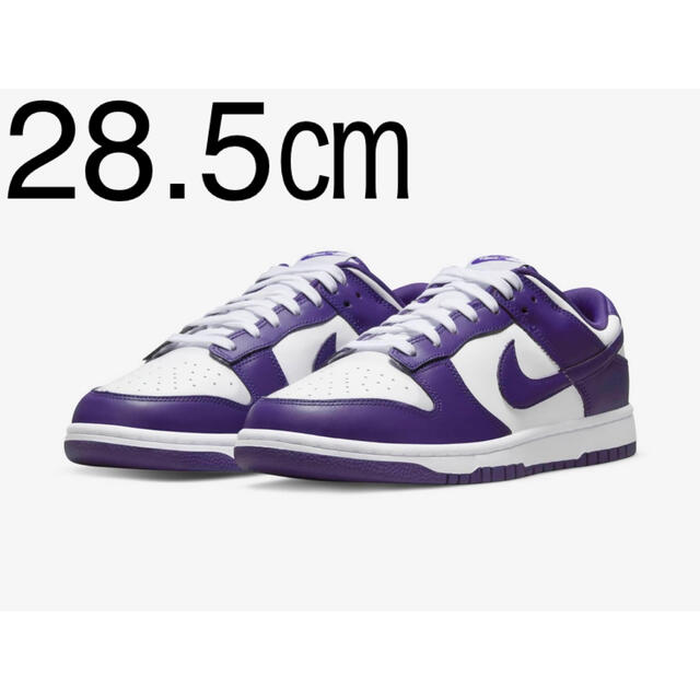 28.5㎝ Dunk Low Championship Court Purple