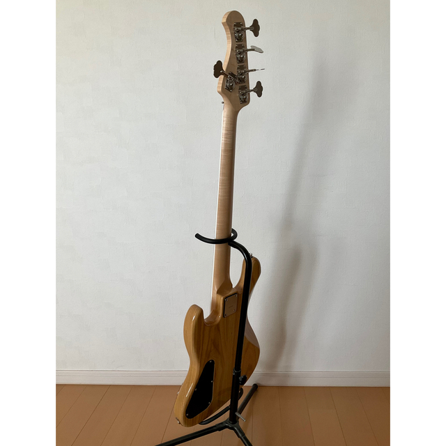 ご予約済み】Bacchus HJB5-Standard | diamundialfuturos.concytec.gob.pe