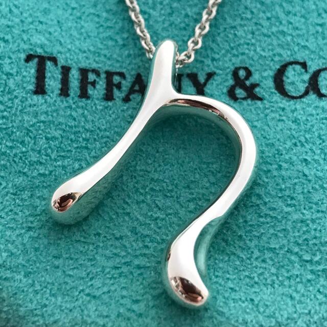 Tiffany イニシャルd ネックレス 希少アクセサリー