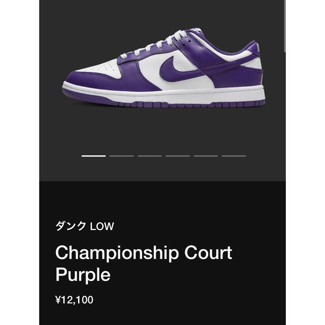 NIKE(ナイキ)のNIKE DUNK championship Court Purple メンズの靴/シューズ(スニーカー)の商品写真