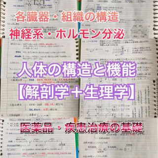 視能訓練士、放射線技師国家試験、定期試験対策シリーズ　解剖学＋生理学まとめセット(資格/検定)