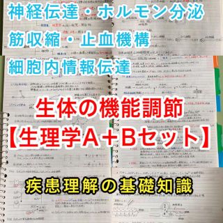 医療系学科定期試験、国家試験対策シリーズ【生理学Ａ＋B】まとめノートセット(資格/検定)