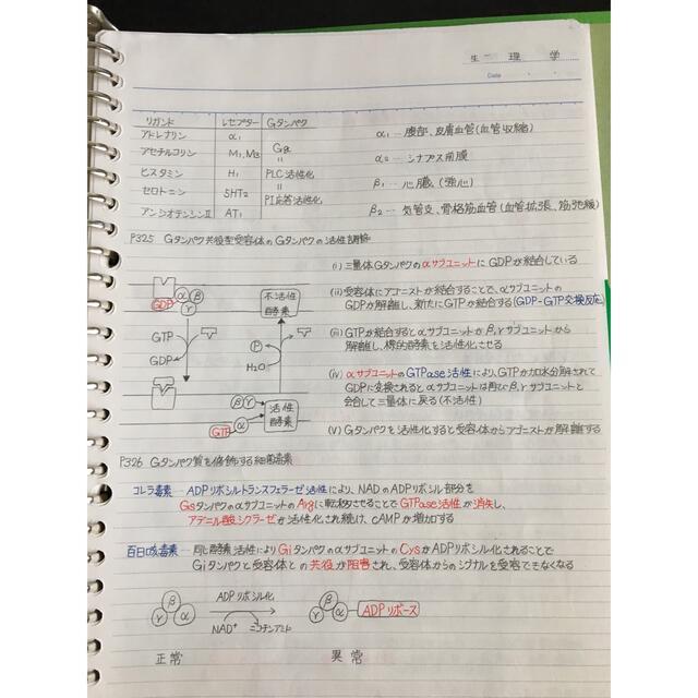 薬剤師国家試験、CBT、薬学部定期試験対策【生理学A+B】まとめ 薬剤師国家試験、CBT、薬学部定期試験対策【生理学A+B】まとめ