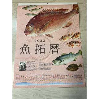 釣り具のポイント　2022年カレンダー(カレンダー/スケジュール)