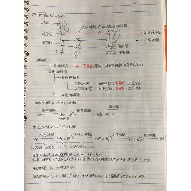 保健師、助産師、救命救急士国家試験、定期試験対策シリーズ【生理学A＋B】まとめ エンタメ/ホビーの本(資格/検定)の商品写真