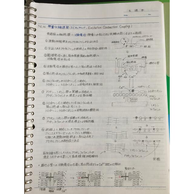 保健師、助産師、救命救急士国家試験、定期試験対策シリーズ【生理学A＋B】まとめ エンタメ/ホビーの本(資格/検定)の商品写真