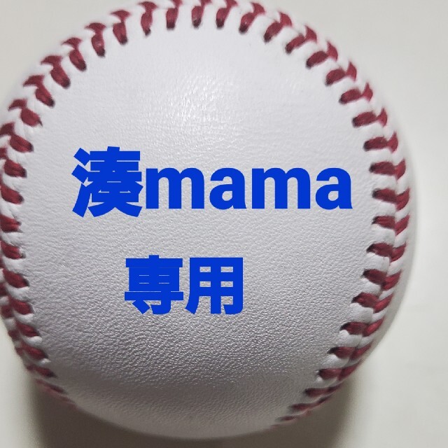 湊mama専用 スポーツ/アウトドアの野球(記念品/関連グッズ)の商品写真