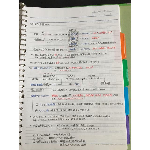 歯科医師国家試験、CBT、歯学部定期試験対策【解剖学＋生理学】まとめノートセット エンタメ/ホビーの本(資格/検定)の商品写真