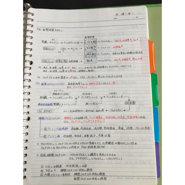 歯科衛生士、歯科技工士国家試験、定期試験対策シリーズ【解剖学 歯科衛生士、歯科技工士国家試験、定期試験対策シリーズ【解剖学