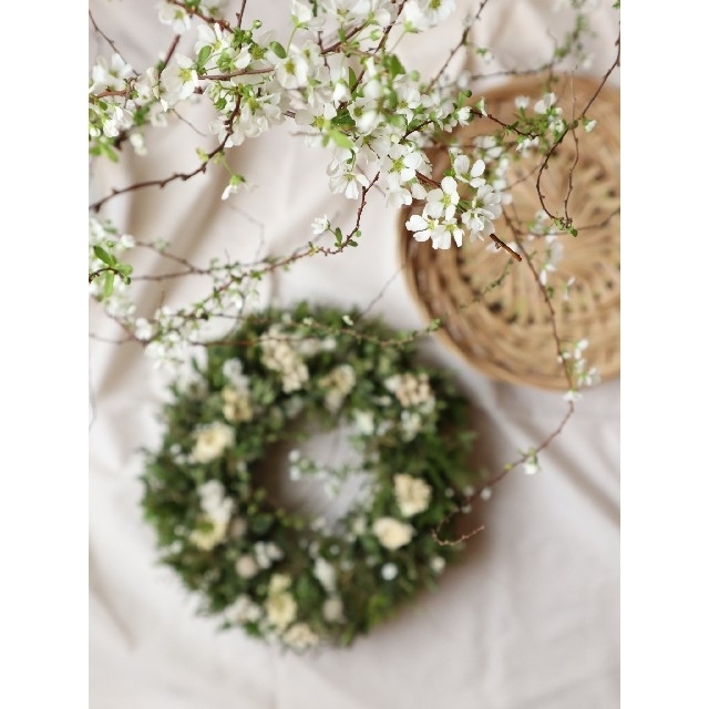 春の白いお花としなやかな雪柳のグリーンリース。ドライフラワーリース。 ハンドメイドのフラワー/ガーデン(リース)の商品写真