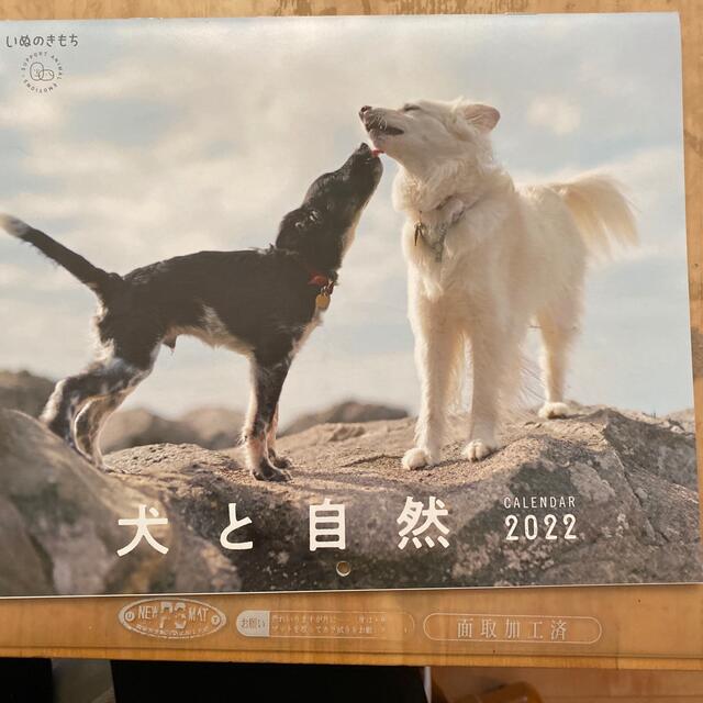いぬのきもち　2022年カレンダー エンタメ/ホビーの雑誌(専門誌)の商品写真