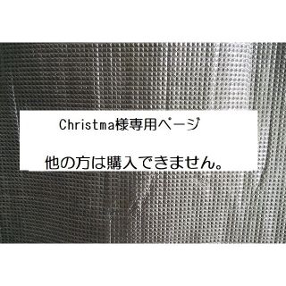 Christmas様専用ページです。他の方は購入できません。(おもちゃ/雑貨)