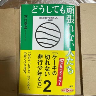 どうしても頑張れない人たち ケーキの切れない非行少年たち　２(その他)