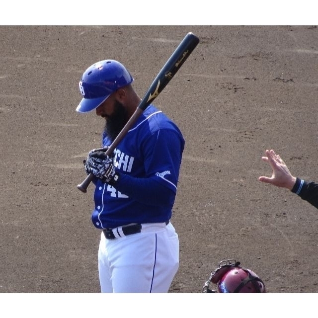 野球⚾実使用⚾ソイロ・アルモンテ⚾硬式バット⚾元中日ドラゴンズ⚾NPB⚾プロコレ⚾