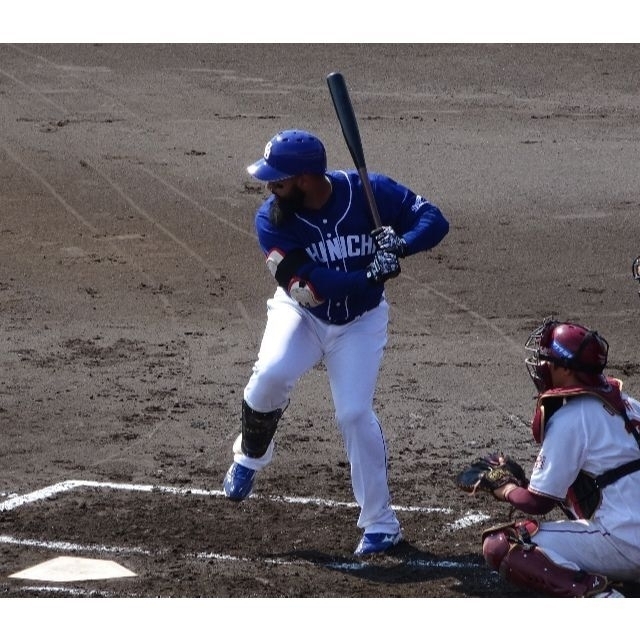 ⚾実使用⚾ソイロ・アルモンテ⚾硬式バット⚾元中日ドラゴンズ⚾NPB⚾プロコレ⚾