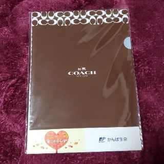 コーチ(COACH)のコーチ　ファイル　coach ファイル　3枚セット(クリアファイル)