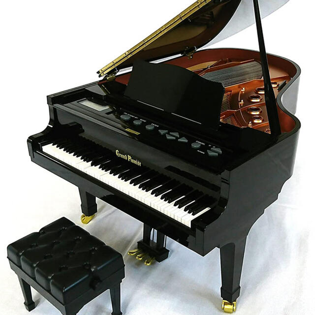 グランドピアニスト　セガトイズ 楽器の鍵盤楽器(ピアノ)の商品写真